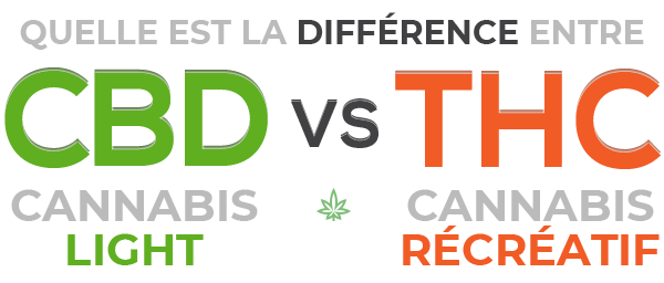 Différence entre cannabis light CBD et cannabis récréatif