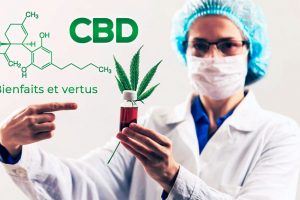 Bienfaits et vertus du CBD (cannabis)