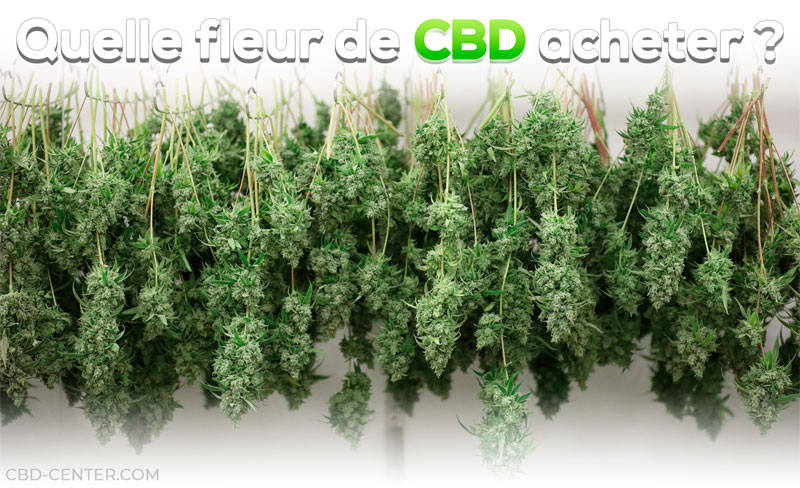 Acheter fleur CBD