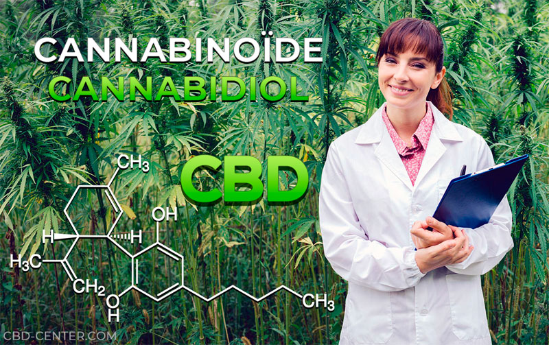 Cannabinoïde cannabidiol fleurs CBD