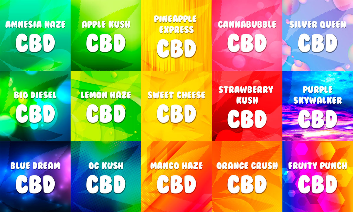 Fleurs de cannabis CBD